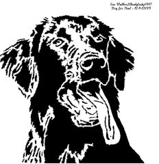 Dog for Paul (grampa)