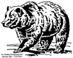 Grizzly Bear