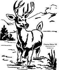 buck In water