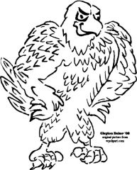 tough eagle