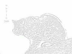 Canadian Bobcat