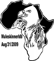 african vulture