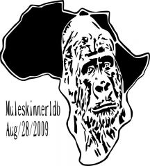 african gorilla