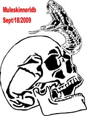 Skull Snake Head