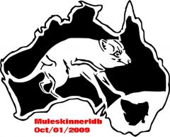 australia tasmanian devil