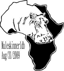 african hippo