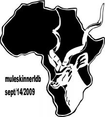 africa gazelle