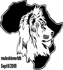 africas kingof beast