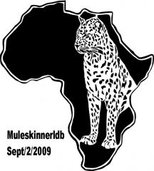 african leopard