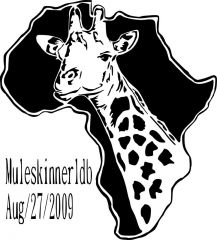 africa giraffe