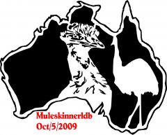 australia emu
