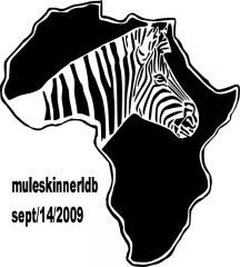 africa zebra