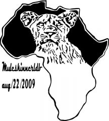 african lioness