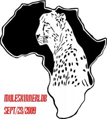 african cheetah