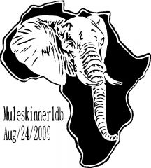 african elephant