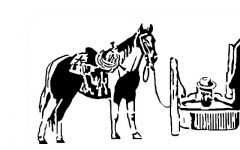 Bathing cowgirl style