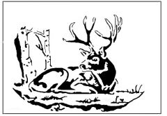 Resting
