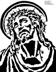 Crown Of Thorns