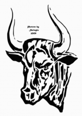 Bull