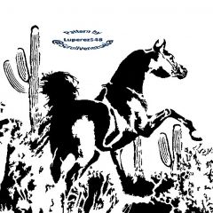 Arabian Horse 3