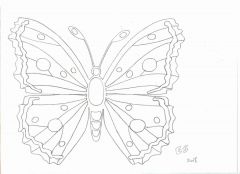 Butterfly 2 by enzo61