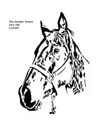 Deb's Pony