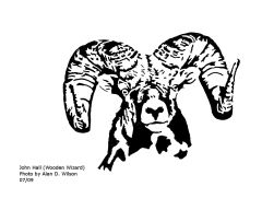 Big Horn Sheep