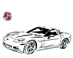 corrvette 2007