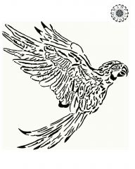 parrot request