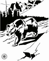 Grizzly
