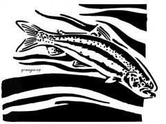 Fish In Stream