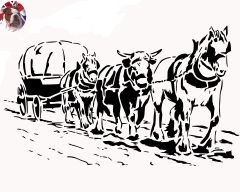 OX AND HORSES