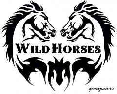 Wild Horses