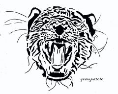 Big cat