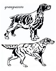 Spaniel and setter