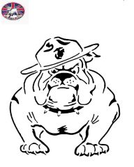 USMC Bulldog