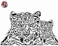 Big Cat
