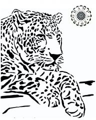 Big Cat