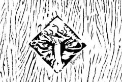 I can see you scrolling