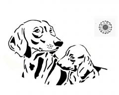 Dachshund