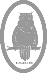 Owl portrait