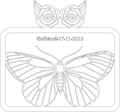 Butterfly & Rose frame
