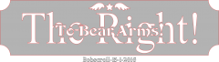 THE RIGHT To Bear Arms