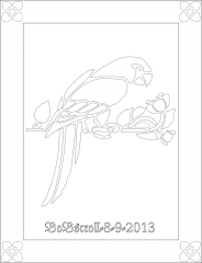Framed Parrot 2