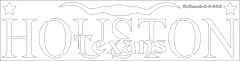 Houston Texans