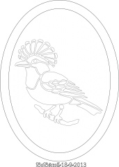 Bird In A frame 2