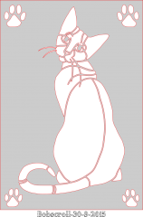 Cat portrait