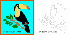 Toucan bird framed