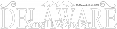DELAWARE Small Wonder