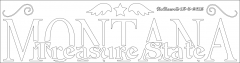 MONTANA Treasure State